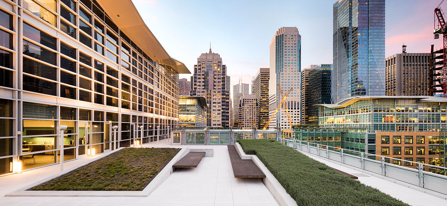 Modern, open air terrace with lots of greenery and a great view of the city